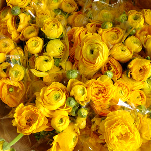 Ranunculus $3.99 per bunch