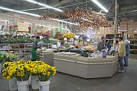 Wholesale Flowers and Supplies Store