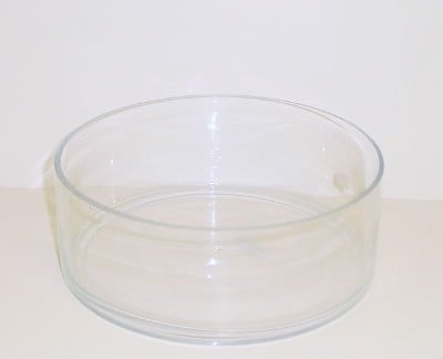 10" Round Dish Garden