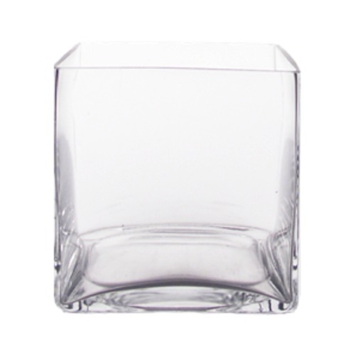 6" Glass Cube Vase
