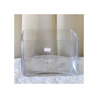 6" Square Glass Low-Dish Garden