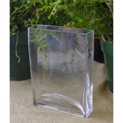 8" Tall Thin Rectangle Vase