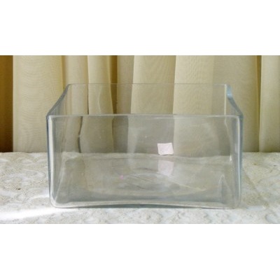 8" Square Glass Dish Garden