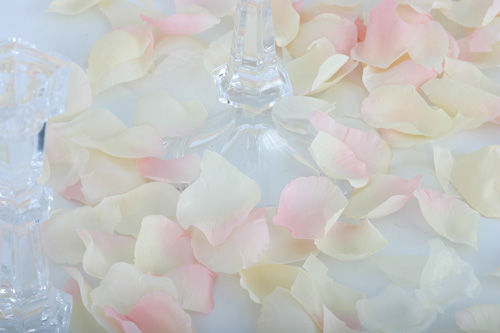 Champagne - Cotton Fabric Rose Petals