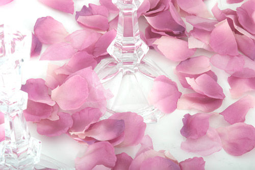 Lavender - Cotton Fabric Rose Petals