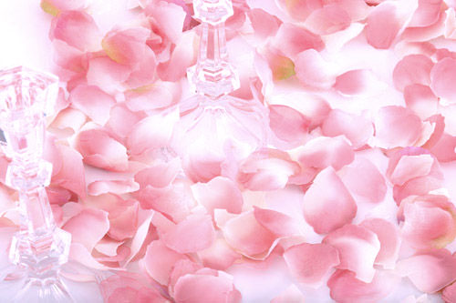 Pink - Cotton Fabric Rose Petals