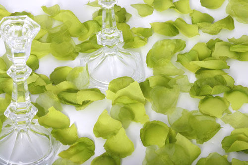Pistachio - Cotton Fabric Rose Petals, Box