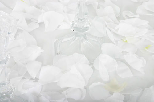 White - Cotton Fabric Rose Petals, Box