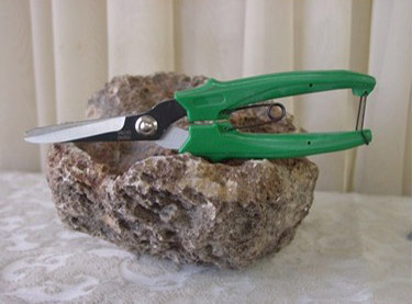 Pruning Shears