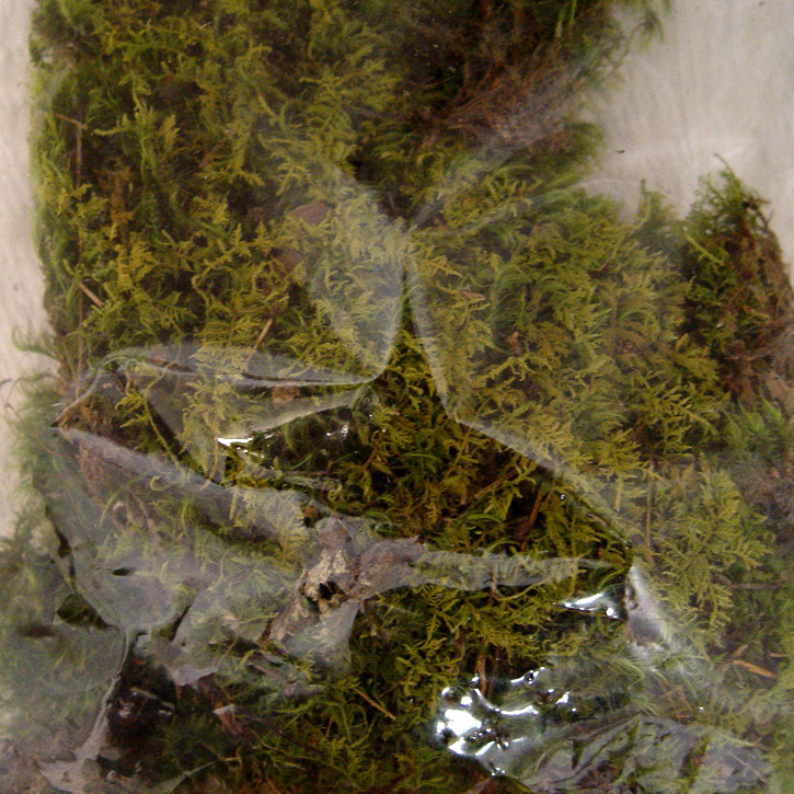 Green colored Mood Moss Bag