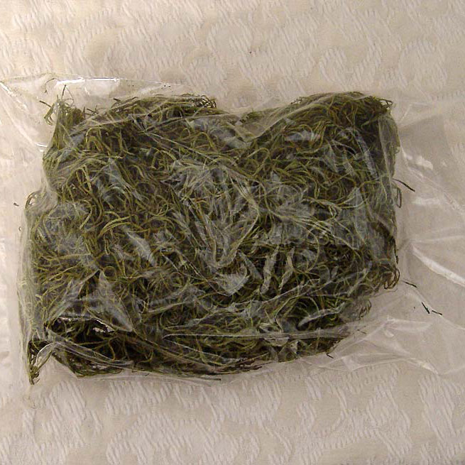 Basil colored Spanish Moss Bag