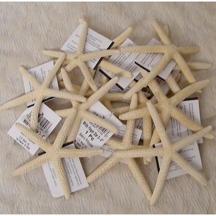 White Finger Star Fish - Decorative Accent
