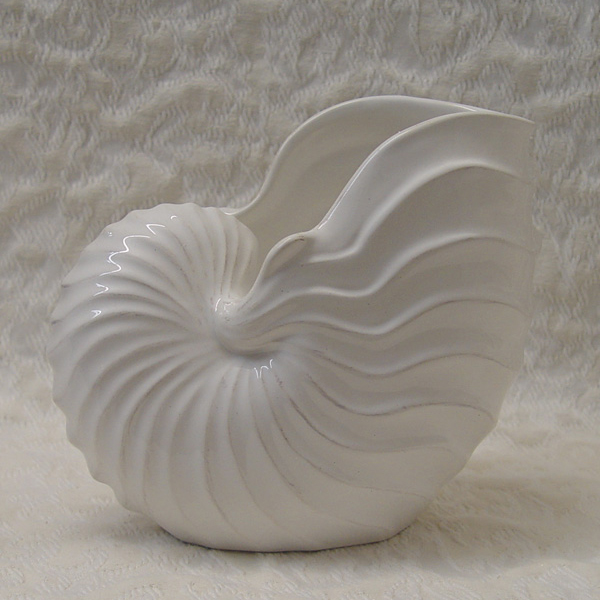 White Ceramic Nautilus Sea Shell