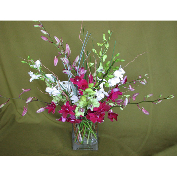 Square Vase w/ Dendrobiums & Bear Grass