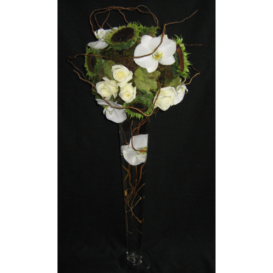 Pilsner w/ Roses & Phalaenopsis Orchids on Black Background