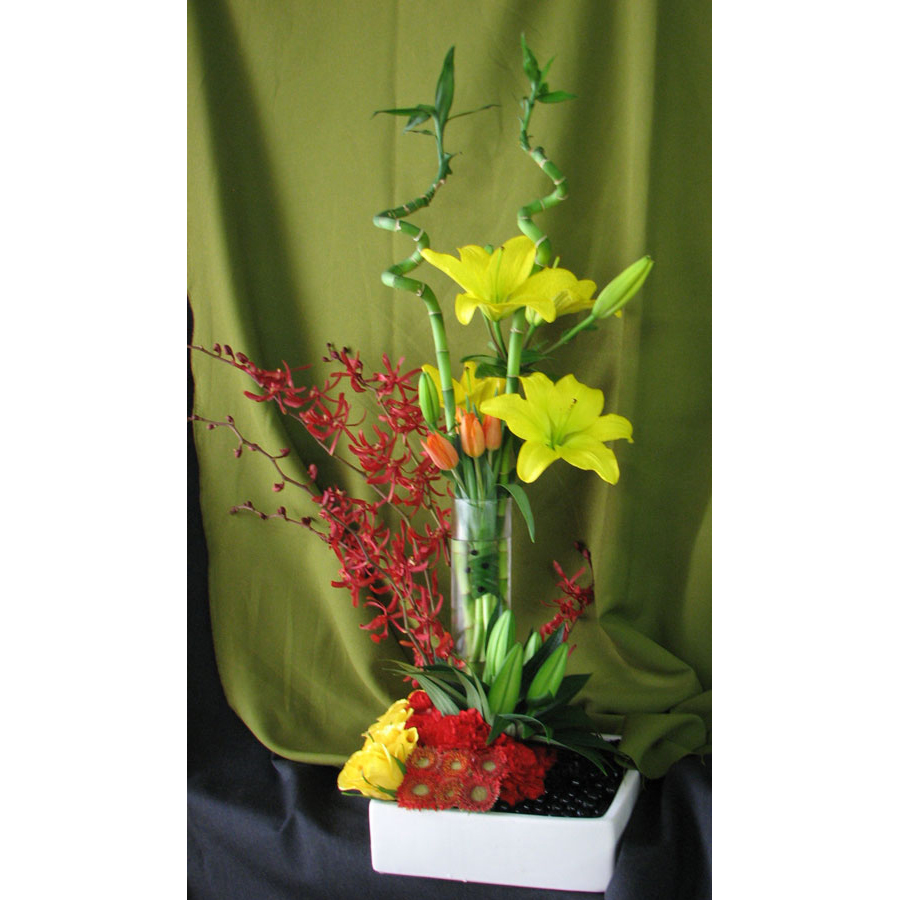 Cylinder in Square w/ Lucky Bamboo