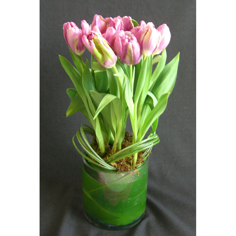 Glass Cylinder w/ Tulips, Ti Leaves & Moss