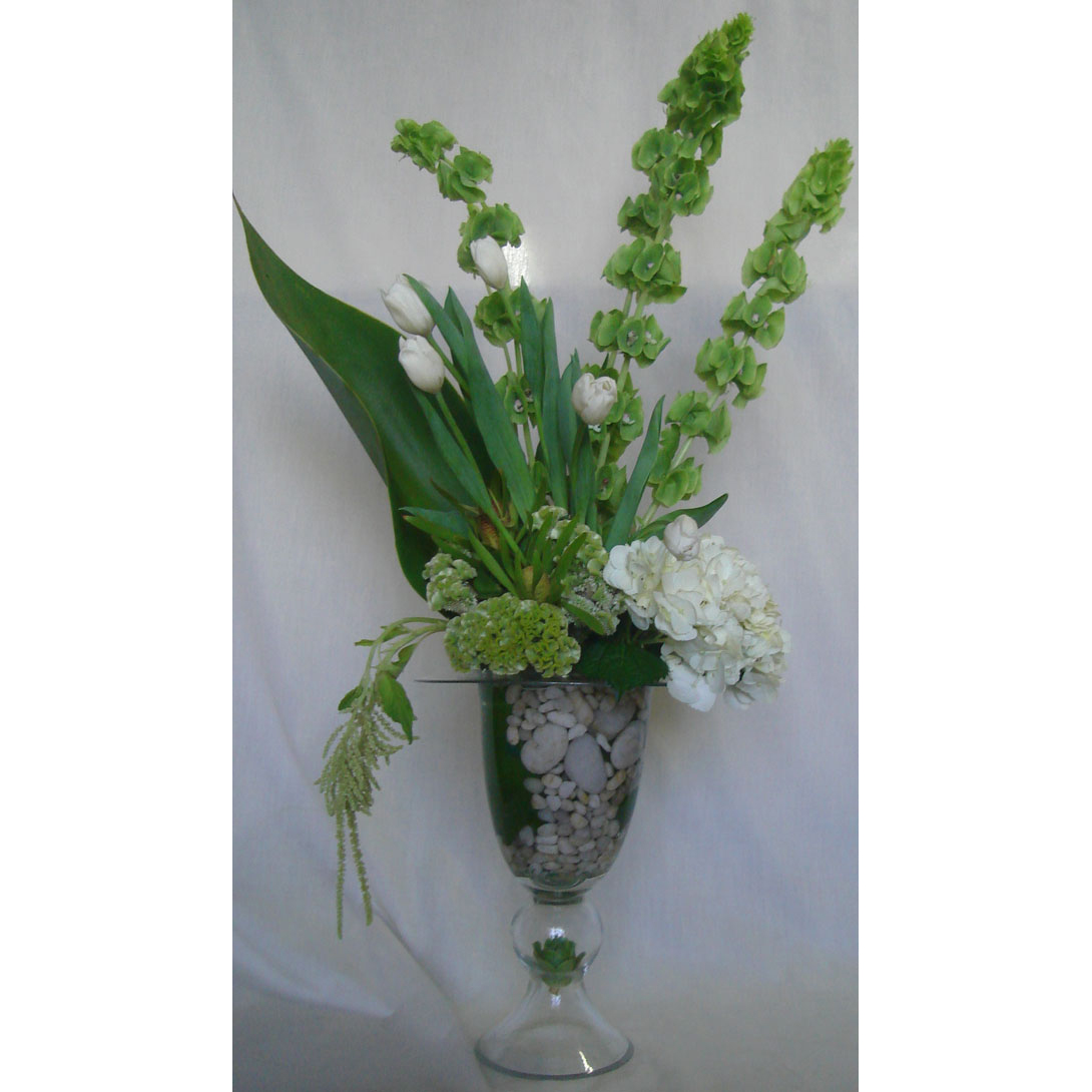 Glass vase w/ Bells of Ireland & Tulips
