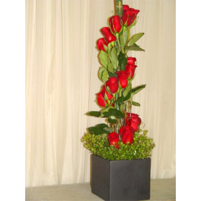 24 Roses Spiraled in Square Ceramic Vase, Valentines Day Arrangement