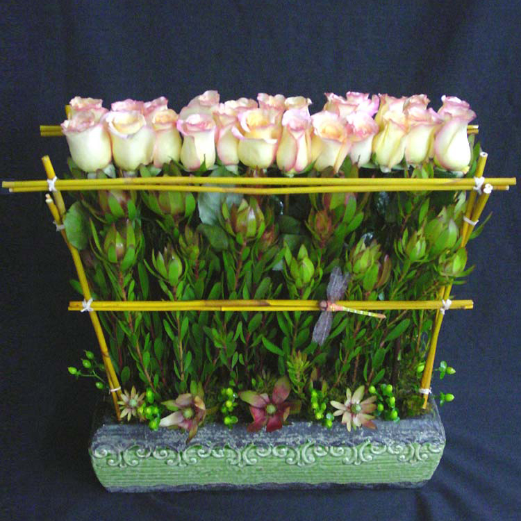 Valentines Day Arrangement 24 Roses, Boxed Bamboo Trellis
