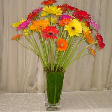 Colorful Gerberas Floral Arrangement