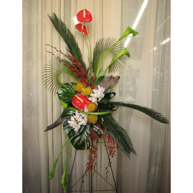 Sympathy Floral Arrangements - Antherium, Orchids & Monstera
