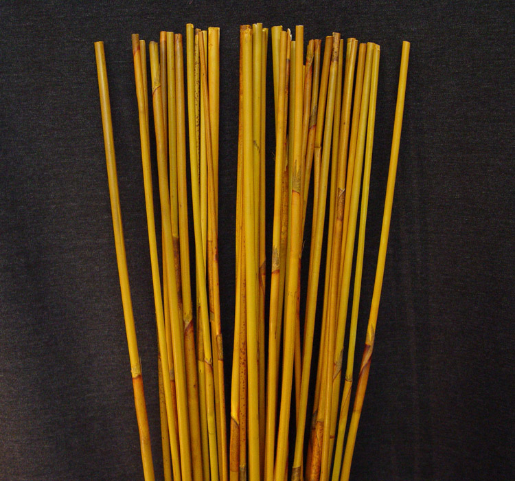 35 1/2" Gold Elephant Reed