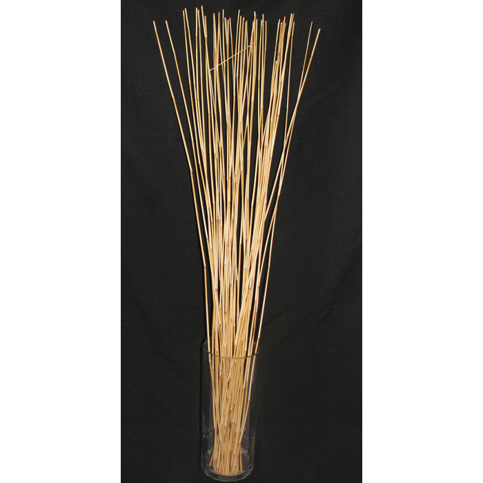 Natural River Cane Branches