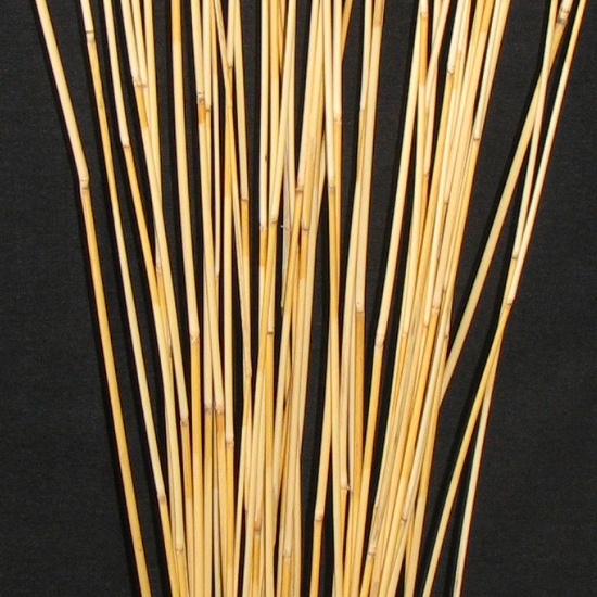Natural River Cane Branches Closeup