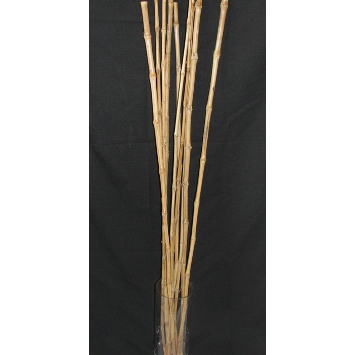 48" Babala Cane