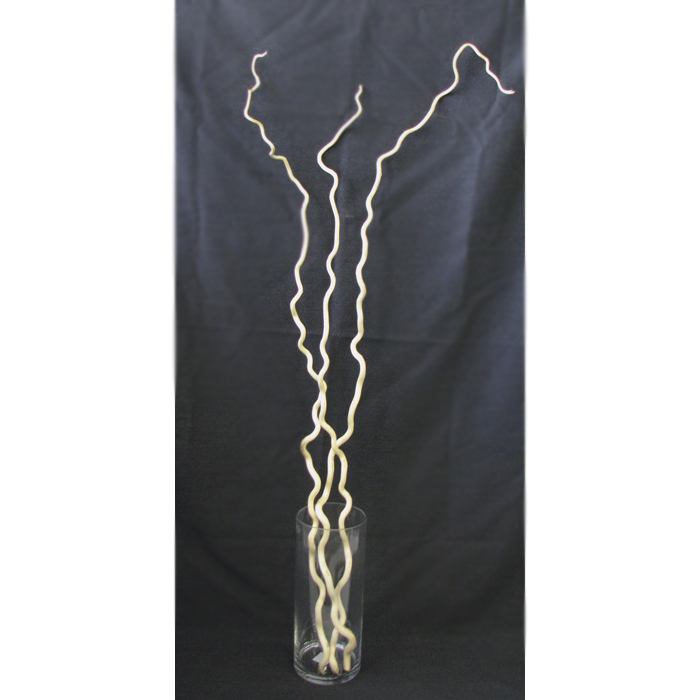 Kuwa Branch - Corkscrew Willow