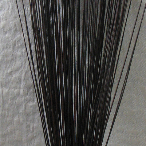 Mahogany Cane Reed Closeup