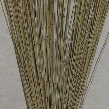 Natural Marsh Reed Closeup