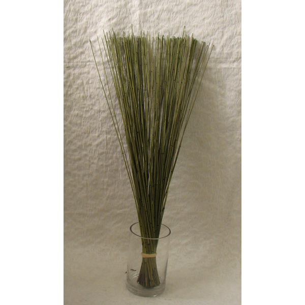 Autumn Marsh Reed Sticks