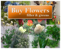 Buy Bulk Flowers, Filler and Greens