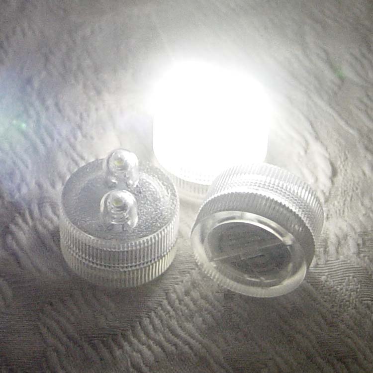 Submersible Lights - LED Acolyte Floralyte II