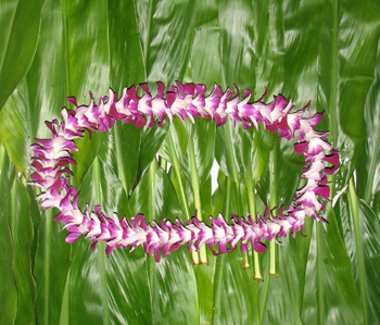 Single Dendrobium Lei