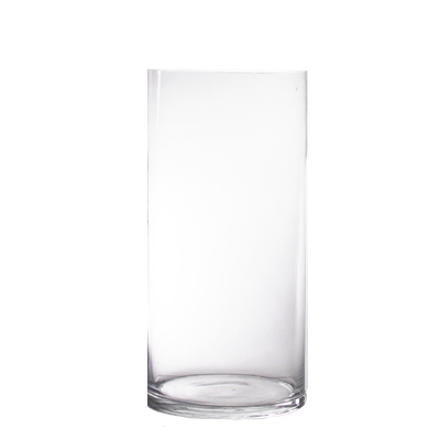 20" x 8" Glass Cylinder Vase
