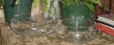 Lily Bowl