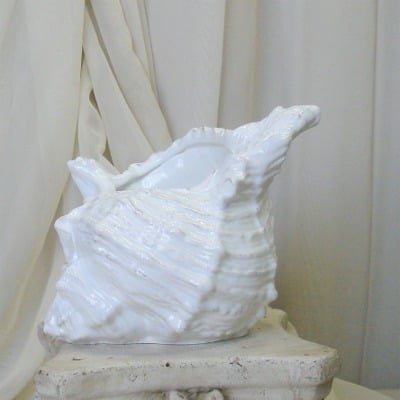 White Ceramic Conch Shell