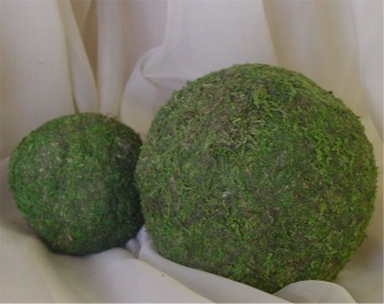 Decorative Moss Balls