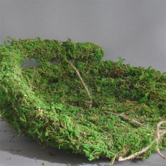 Moss Garland Vine