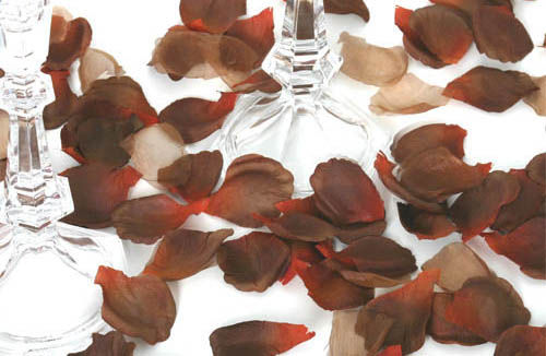 Chocolate - Cotton Fabric Rose Petals, Box
