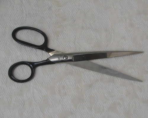 Stainless Steel Scissors