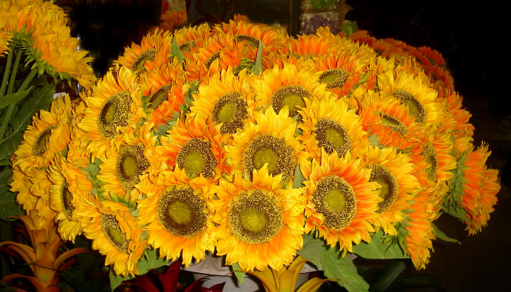 Synthetic Sunflower Bunch