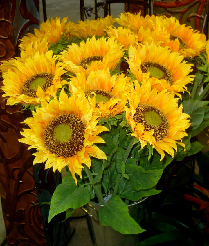 Tall Synthetic Sunflower