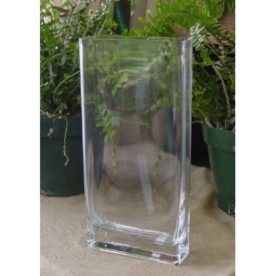 12" Tall Thin Rectangle Vase