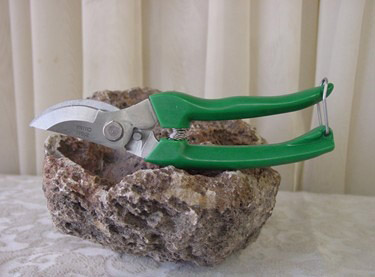 Tapered Pruning Shears