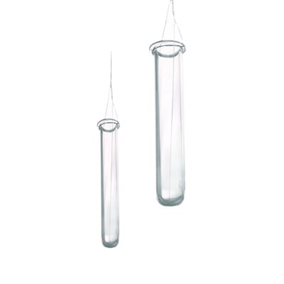 Hanging Test Tube Vase