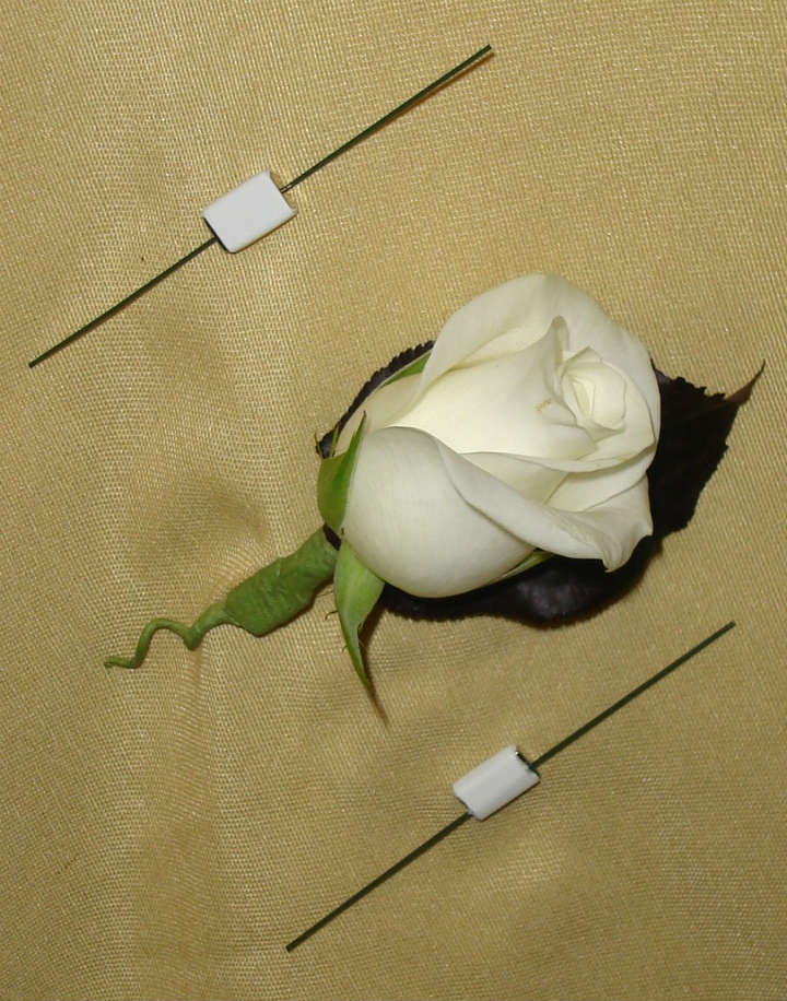 Corsage Magnets